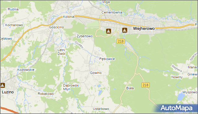 mapa Pętkowice gmina Wejherowo, Pętkowice gmina Wejherowo na mapie Targeo