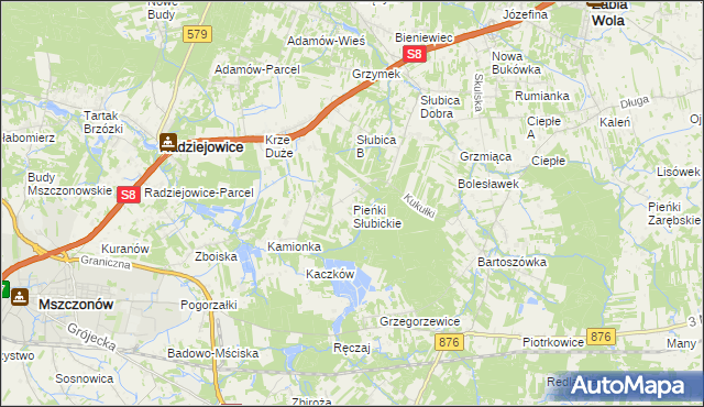 mapa Pieńki Słubickie, Pieńki Słubickie na mapie Targeo