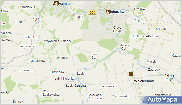 mapa Stary Gaj gmina Wojciechów, Stary Gaj gmina Wojciechów na mapie Targeo