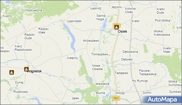 mapa Tomaszewo gmina Osiek, Tomaszewo gmina Osiek na mapie Targeo