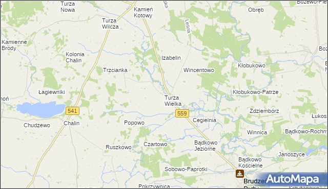 mapa Turza Wielka gmina Brudzeń Duży, Turza Wielka gmina Brudzeń Duży na mapie Targeo