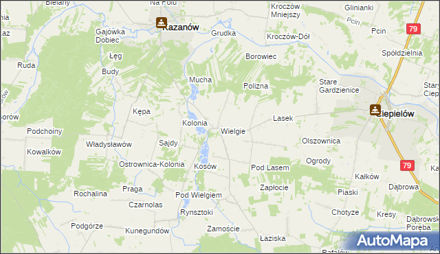 mapa Wielgie gmina Ciepielów, Wielgie gmina Ciepielów na mapie Targeo