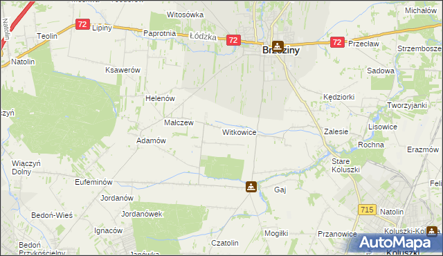 mapa Witkowice gmina Brzeziny, Witkowice gmina Brzeziny na mapie Targeo