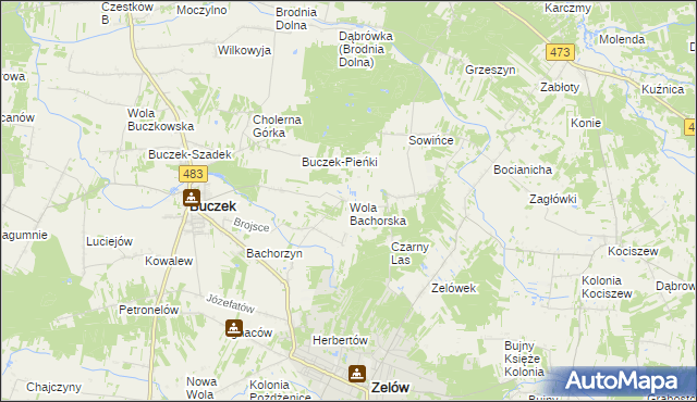 mapa Wola Bachorska, Wola Bachorska na mapie Targeo