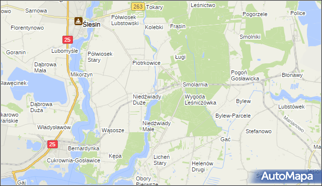 mapa Wygoda gmina Ślesin, Wygoda gmina Ślesin na mapie Targeo