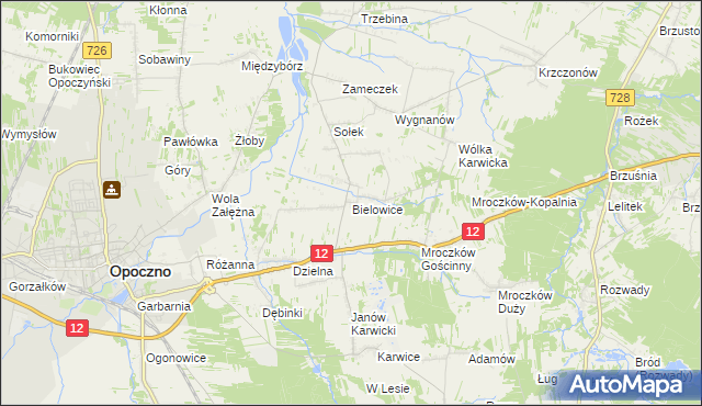 mapa Bielowice gmina Opoczno, Bielowice gmina Opoczno na mapie Targeo