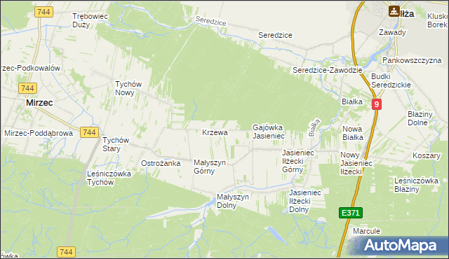 mapa Krzewa gmina Mirzec, Krzewa gmina Mirzec na mapie Targeo