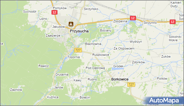 mapa Ruszkowice gmina Borkowice, Ruszkowice gmina Borkowice na mapie Targeo