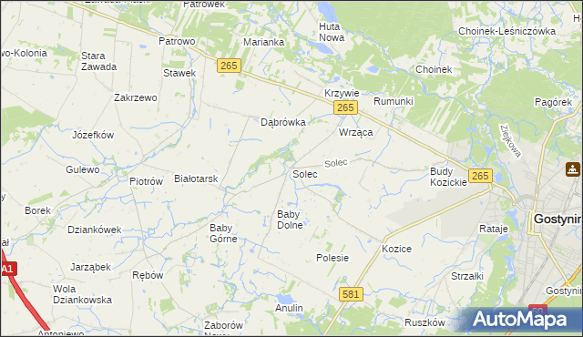 mapa Solec gmina Gostynin, Solec gmina Gostynin na mapie Targeo