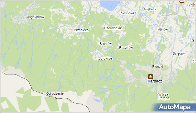 mapa Borowice gmina Podgórzyn, Borowice gmina Podgórzyn na mapie Targeo
