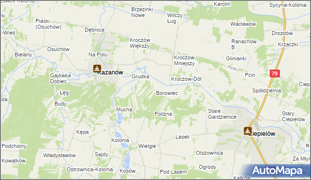 mapa Borowiec gmina Ciepielów, Borowiec gmina Ciepielów na mapie Targeo