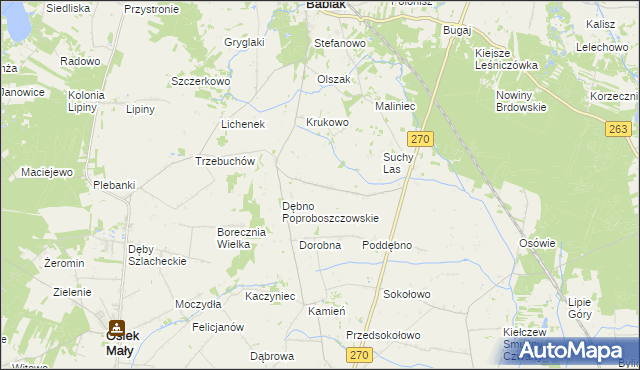 mapa Dębno Królewskie, Dębno Królewskie na mapie Targeo