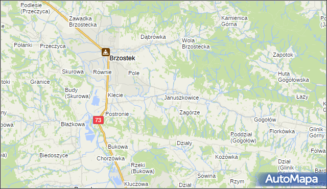 mapa Januszkowice gmina Brzostek, Januszkowice gmina Brzostek na mapie Targeo