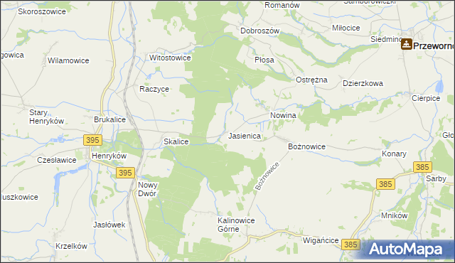 mapa Jasienica gmina Ziębice, Jasienica gmina Ziębice na mapie Targeo