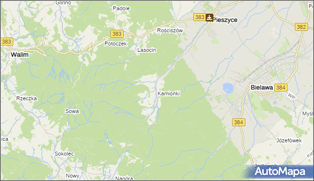 mapa Kamionki gmina Pieszyce, Kamionki gmina Pieszyce na mapie Targeo