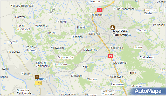 mapa Morzychna, Morzychna na mapie Targeo