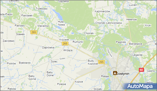 mapa Nagodów gmina Gostynin, Nagodów gmina Gostynin na mapie Targeo