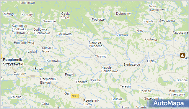 mapa Olszyny gmina Rzepiennik Strzyżewski, Olszyny gmina Rzepiennik Strzyżewski na mapie Targeo