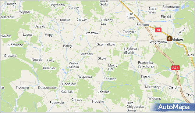 mapa Skoki gmina Mniów, Skoki gmina Mniów na mapie Targeo