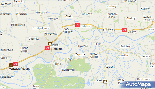 mapa Trawniki gmina Drwinia, Trawniki gmina Drwinia na mapie Targeo