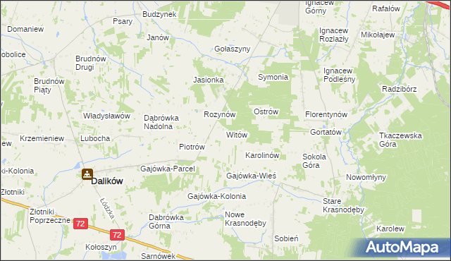 mapa Witów gmina Dalików, Witów gmina Dalików na mapie Targeo