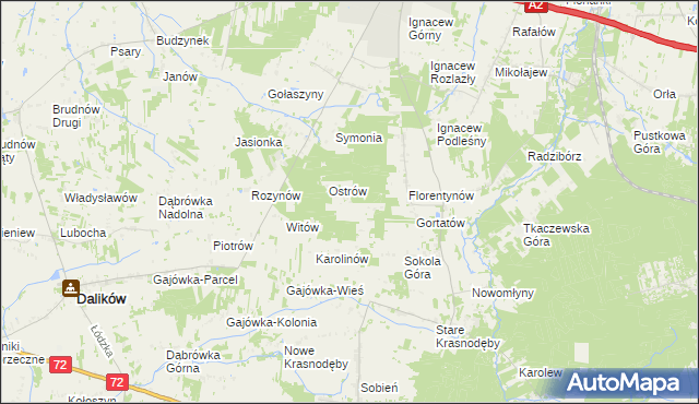 mapa Włodzimierzów gmina Dalików, Włodzimierzów gmina Dalików na mapie Targeo