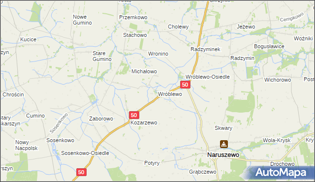 mapa Wróblewo gmina Naruszewo, Wróblewo gmina Naruszewo na mapie Targeo