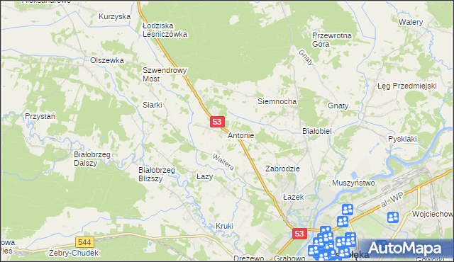 mapa Antonie gmina Olszewo-Borki, Antonie gmina Olszewo-Borki na mapie Targeo