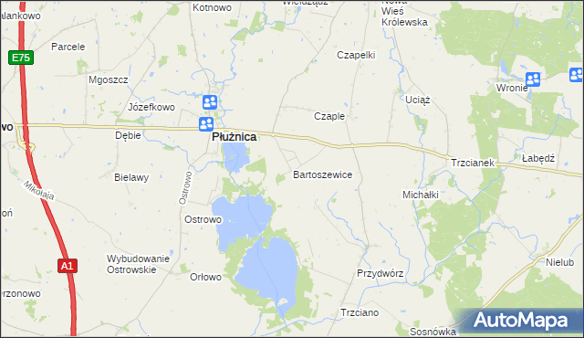mapa Bartoszewice gmina Płużnica, Bartoszewice gmina Płużnica na mapie Targeo
