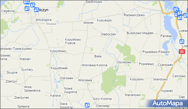 mapa Biela gmina Wilczyn, Biela gmina Wilczyn na mapie Targeo