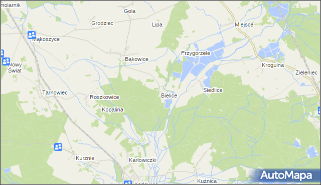 mapa Bielice gmina Świerczów, Bielice gmina Świerczów na mapie Targeo