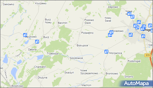 mapa Biskupice gmina Przemęt, Biskupice gmina Przemęt na mapie Targeo