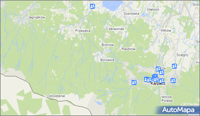 mapa Borowice gmina Podgórzyn, Borowice gmina Podgórzyn na mapie Targeo