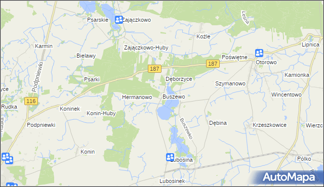 mapa Buszewo gmina Pniewy, Buszewo gmina Pniewy na mapie Targeo