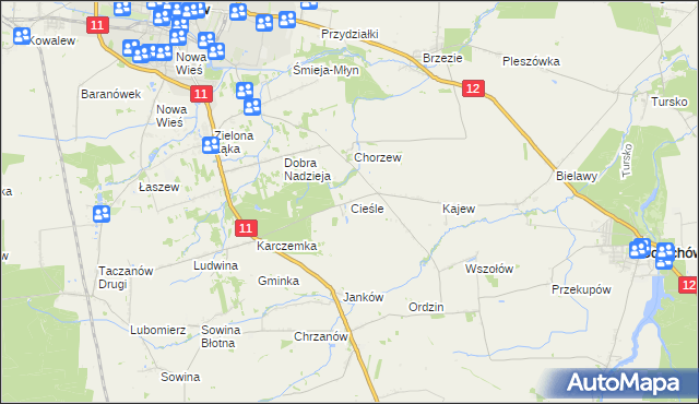 mapa Cieśle gmina Gołuchów, Cieśle gmina Gołuchów na mapie Targeo