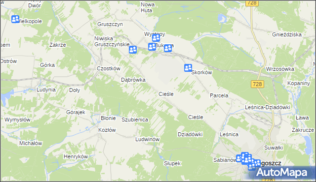 mapa Cieśle gmina Krasocin, Cieśle gmina Krasocin na mapie Targeo