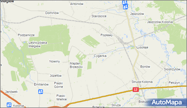 mapa Cyganka gmina Milejów, Cyganka gmina Milejów na mapie Targeo