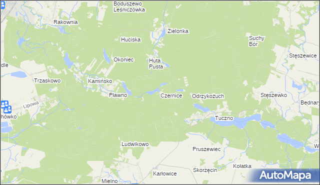 mapa Czernice gmina Murowana Goślina, Czernice gmina Murowana Goślina na mapie Targeo