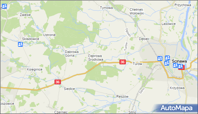 mapa Dąbrowa Dolna gmina Ścinawa, Dąbrowa Dolna gmina Ścinawa na mapie Targeo
