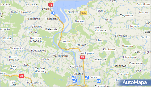 mapa Dąbrowa gmina Chełmiec, Dąbrowa gmina Chełmiec na mapie Targeo