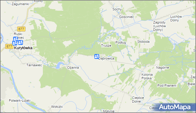 mapa Dąbrowica gmina Kuryłówka, Dąbrowica gmina Kuryłówka na mapie Targeo