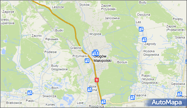 mapa Głogów Małopolski, Głogów Małopolski na mapie Targeo