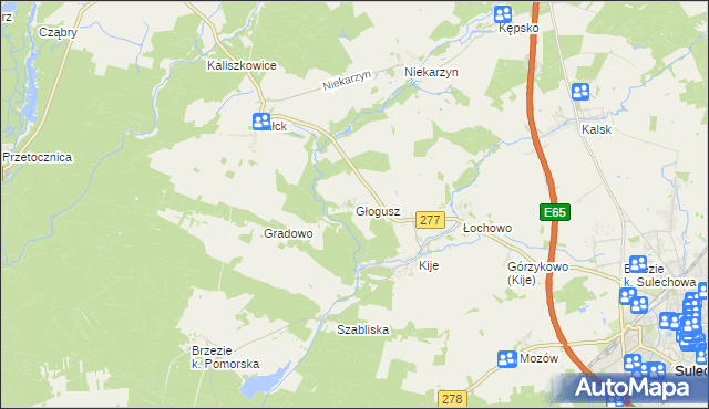 mapa Głogusz, Głogusz na mapie Targeo