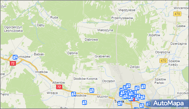 mapa Grabieniec gmina Turek, Grabieniec gmina Turek na mapie Targeo