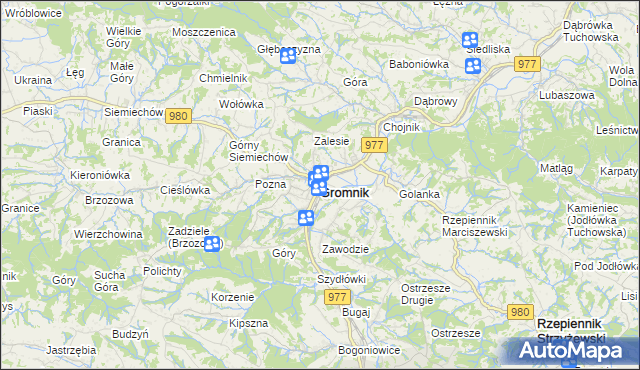 mapa Gromnik powiat tarnowski, Gromnik powiat tarnowski na mapie Targeo