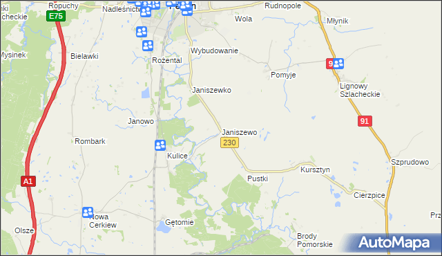 mapa Janiszewo gmina Pelplin, Janiszewo gmina Pelplin na mapie Targeo