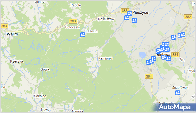 mapa Kamionki gmina Pieszyce, Kamionki gmina Pieszyce na mapie Targeo
