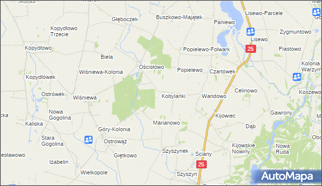 mapa Kobylanki gmina Skulsk, Kobylanki gmina Skulsk na mapie Targeo