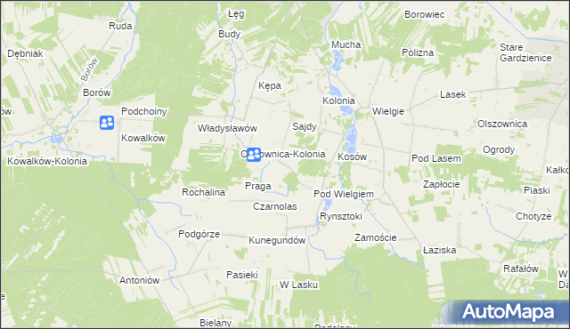 mapa Kochanów gmina Ciepielów, Kochanów gmina Ciepielów na mapie Targeo