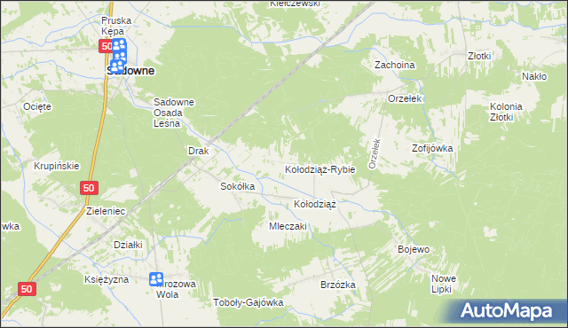 mapa Kołodziąż-Rybie, Kołodziąż-Rybie na mapie Targeo